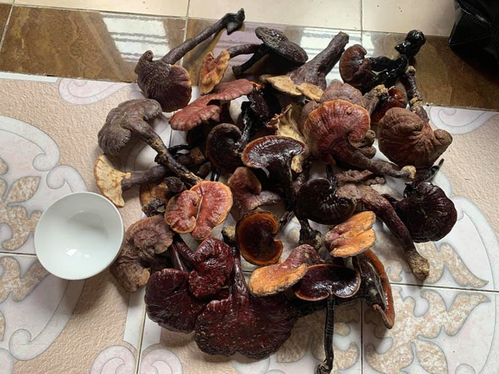 Bọ biển Việt Nam đắt hơn tôm hùm, cua lông Trung Quốc rẻ như rau - 4