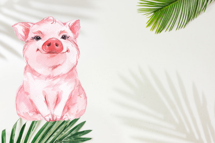 Ngày 19/10 của 12 con giáp: Tuổi Hợi công việc thành công ngoài mong đợi - 2