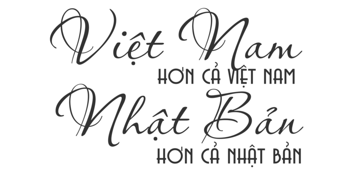 Việt Nam - Nhật Bản và giá trị đồng điệu cốt lõi - 9