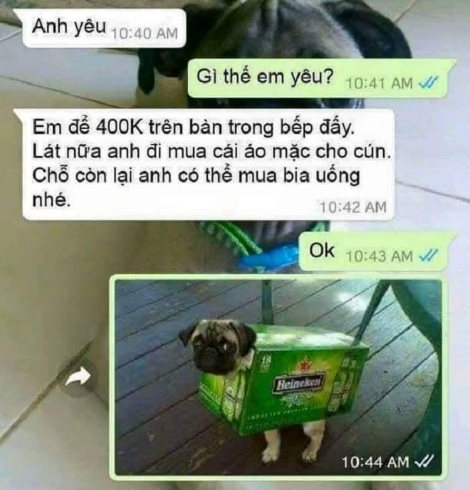 Vợ cạn lời khi chồng 'ăn chặn' tiền của... cún - 1