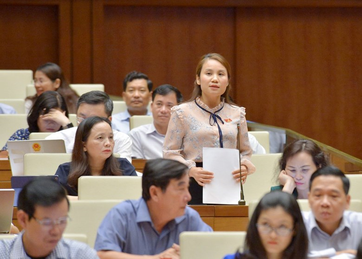 Quốc hội tranh luận gay gắt quy định cắt điện, nước công trình xây dựng vi phạm - 2