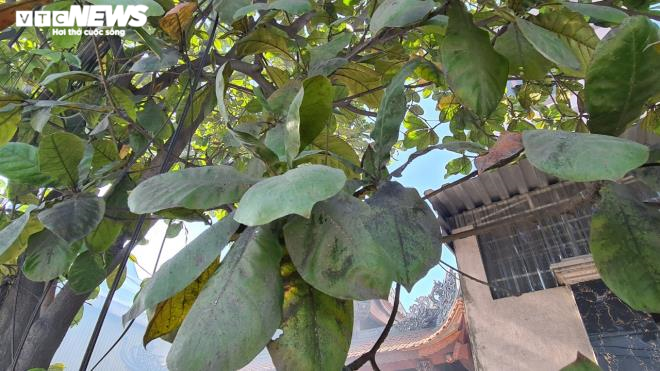 Kinh hãi 300 ống khói xả thẳng lên trời ở làng tái chế nhôm lớn nhất miền Bắc - 6