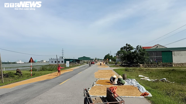 Người dân vùng lũ Hà Tĩnh xót xa nhìn thóc nảy mầm trắng xóa - 4