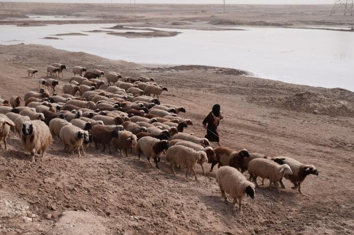 Những hình ảnh đáng sợ về cơn giận dữ của mẹ thiên nhiên - 17