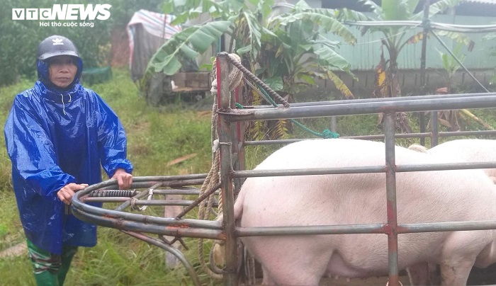 Hồ Kẻ Gỗ tăng lưu lượng xả tràn, người Hà Tĩnh ôm gà, lợn chạy lũ - 1