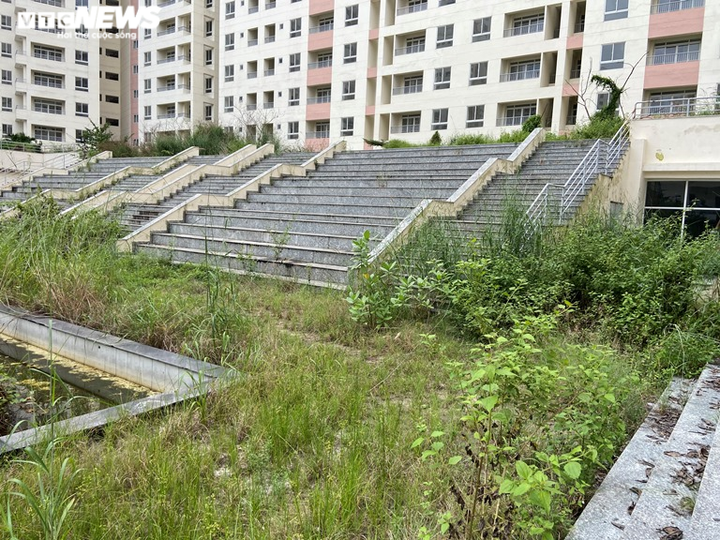 Vẻ hoang tàn tới lạnh người của những khu nhà tái định cư bỏ hoang ở TP.HCM - 4