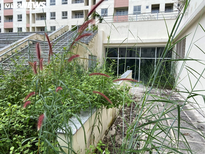 Vẻ hoang tàn tới lạnh người của những khu nhà tái định cư bỏ hoang ở TP.HCM - 8