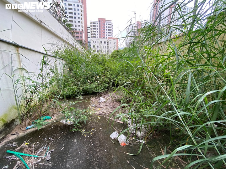 Vẻ hoang tàn tới lạnh người của những khu nhà tái định cư bỏ hoang ở TP.HCM - 2