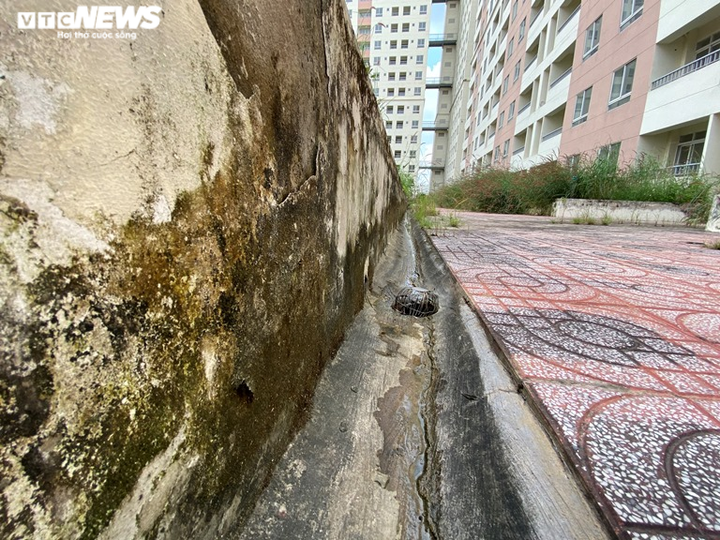 Vẻ hoang tàn tới lạnh người của những khu nhà tái định cư bỏ hoang ở TP.HCM - 6