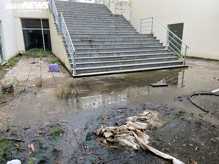 Vẻ hoang tàn tới lạnh người của những khu nhà tái định cư bỏ hoang ở TP.HCM - 10