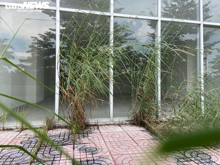 Vẻ hoang tàn tới lạnh người của những khu nhà tái định cư bỏ hoang ở TP.HCM - 11