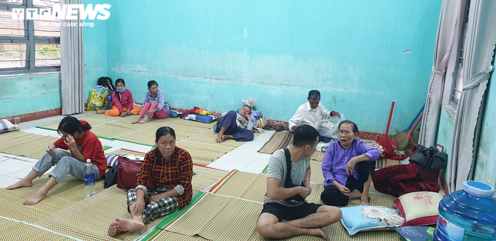 Phó Thủ tướng Trịnh Đình Dũng: Phải đảm bảo đủ lương thực cho dân tránh bão - 2