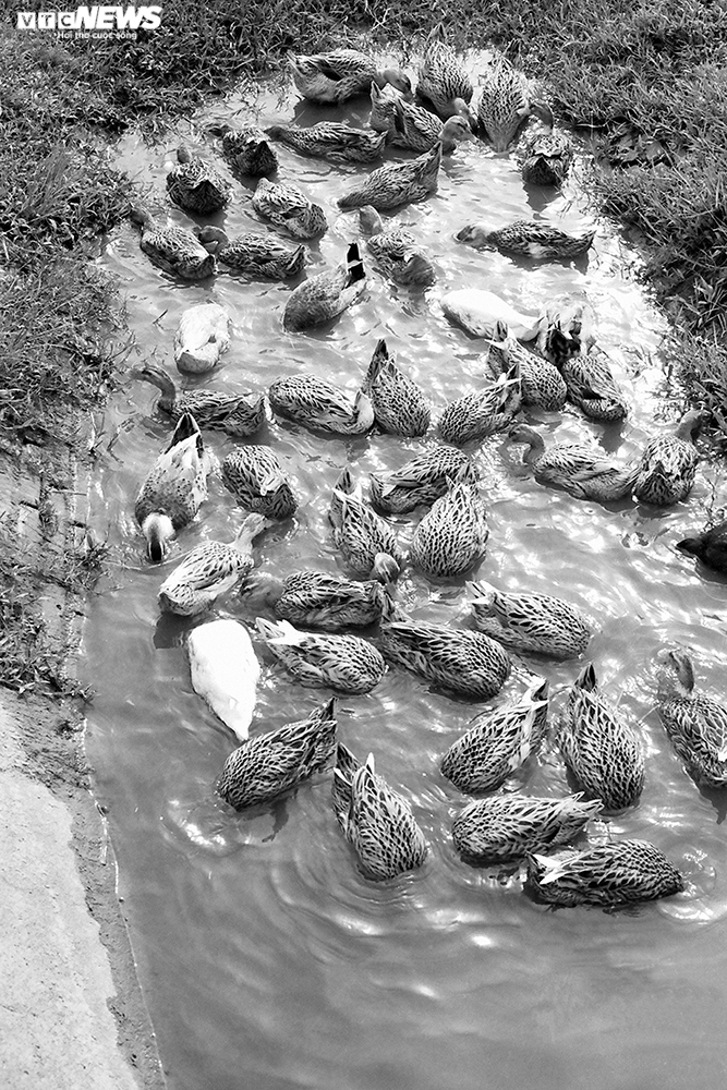 Ảnh: Nhiếp ảnh gia 105 tuổi vẫn rong ruổi xách máy đi tìm cái đẹp - 10