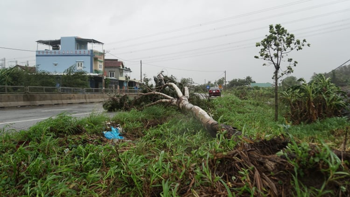 TRỰC TIẾP: Bão số 9 quần thảo Quảng Nam - Quảng Ngãi, hàng loạt nhà sập, tốc mái - 22