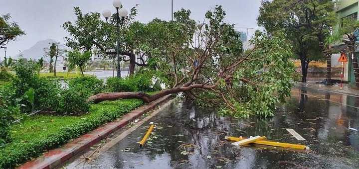 TRỰC TIẾP: Bão số 9 quần thảo Quảng Nam - Quảng Ngãi, hàng loạt nhà sập, tốc mái - 17
