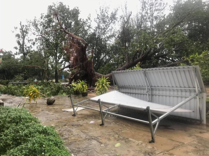 TRỰC TIẾP: Bão số 9 quần thảo Quảng Nam - Quảng Ngãi, hàng loạt nhà sập, tốc mái - 16