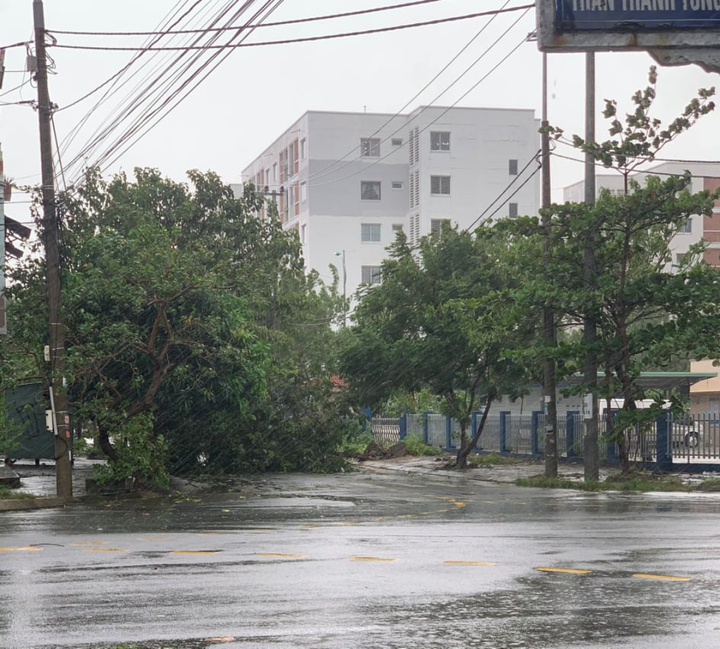 TRỰC TIẾP: Bão số 9 quần thảo Quảng Nam - Quảng Ngãi, hàng loạt nhà sập, tốc mái - 29