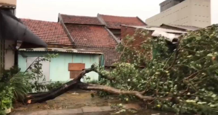 TRỰC TIẾP: Bão số 9 quần thảo Quảng Nam - Quảng Ngãi, hàng loạt nhà sập, tốc mái - 26