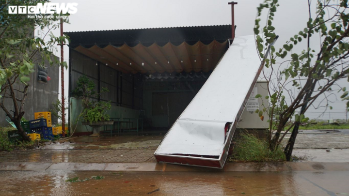 Ảnh: Gió rít liên hồi quật ngã hàng loạt cây xanh ở Đà Nẵng, Quảng Nam - 7