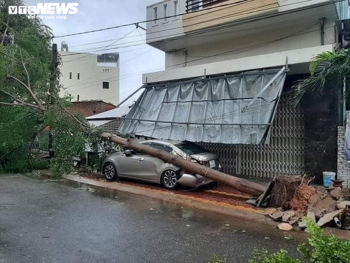 Ảnh: Gió rít liên hồi quật ngã hàng loạt cây xanh ở Đà Nẵng, Quảng Nam - 4