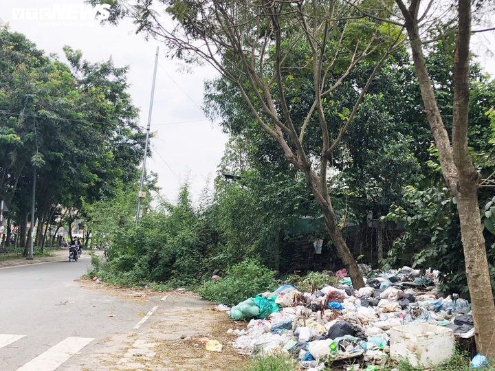 Ảnh: Rác bốc mùi hôi thối bủa vây làng Đại học Quốc gia TP.HCM - 6