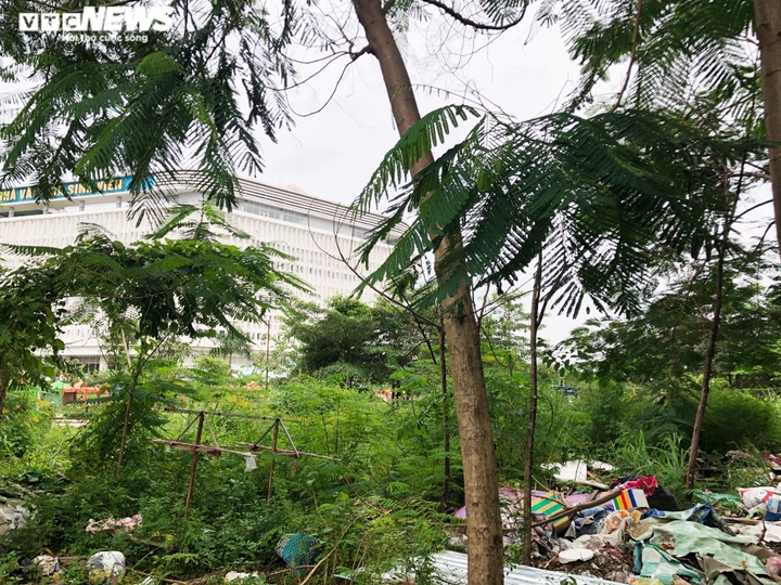 Ảnh: Rác bốc mùi hôi thối bủa vây làng Đại học Quốc gia TP.HCM - 7
