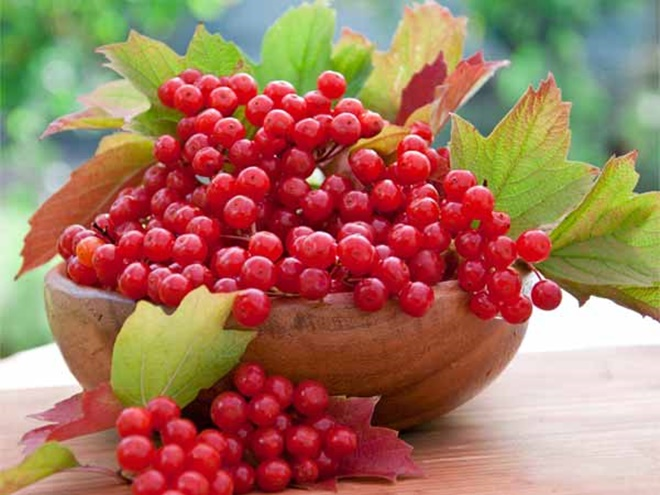 Nghiện cà phê, phải làm sao? - 7