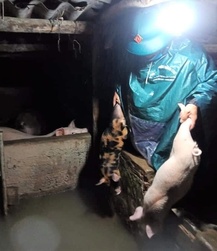 Ảnh: Lũ tràn về trong đêm, người dân Nghệ An lên mạng xã hội kêu cứu - 9