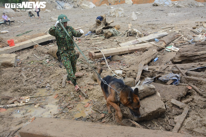 Chuyên gia địa chất hỗ trợ tìm kiếm nạn nhân mất tích ở Trà Leng - 1