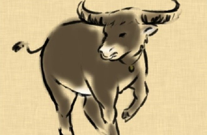 Tử vi 12 con giáp ngày 2/11: Tuổi Tuất tranh cãi với đồng nghiệp - 1