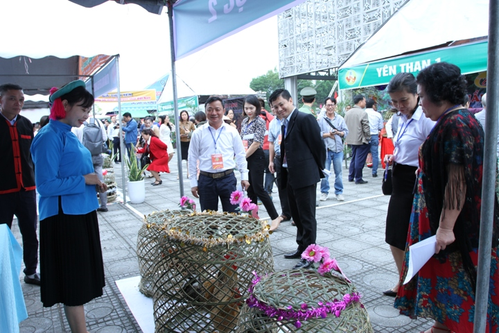 Quảng Ninh tổ chức cuộc thi Vua gà, gà đẹp - 2