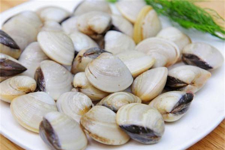Bí quyết chọn ngao tươi và làm sạch cát cực hiệu quả - 1