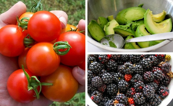 Cá hồi, nước hầm xương - thực phẩm giàu collagen giúp làm chậm quá trình lão hóa - 5