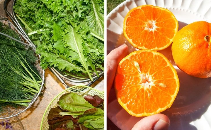 Cá hồi, nước hầm xương - thực phẩm giàu collagen giúp làm chậm quá trình lão hóa - 3