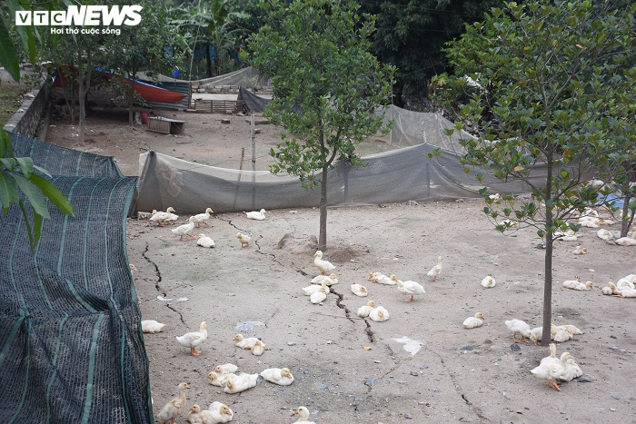 Vì sao 'hố tử thần' xuất hiện gần 10 ngày ở Hải Phòng chưa được xử lý? - 4