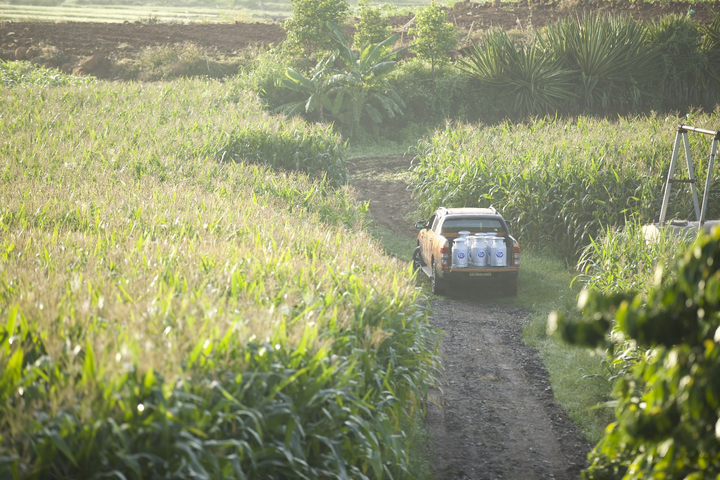 5 điều làm nên dấu ấn 145 năm thương hiệu sữa hàng đầu thế giới - 3