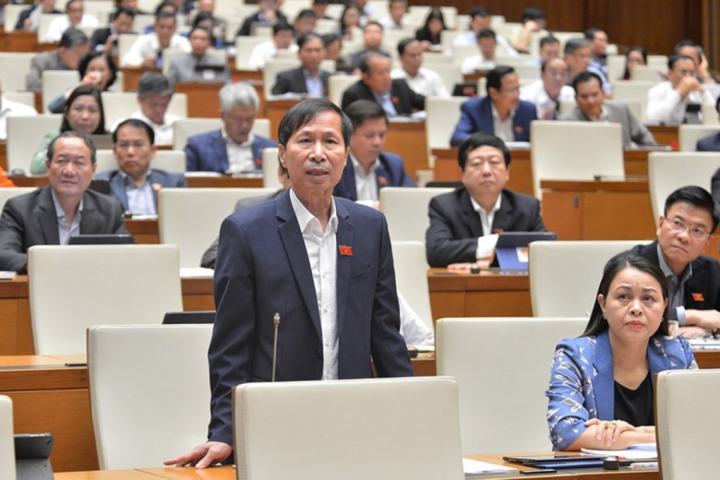 Đại biểu Quốc hội: 'Tự chủ đại học là hướng đi đúng' - 2