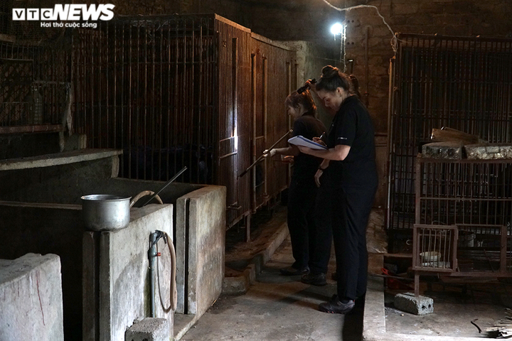 Ảnh: Giải cứu thành công hai con gấu ngựa quý hiếm bị nuôi nhốt 20 năm - 1