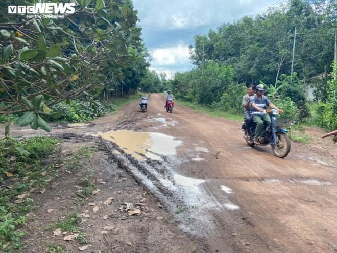 Con đường bỏ nhà dân đi vào rừng cao su ở Bình Phước: Thanh tra tỉnh vào cuộc - 2