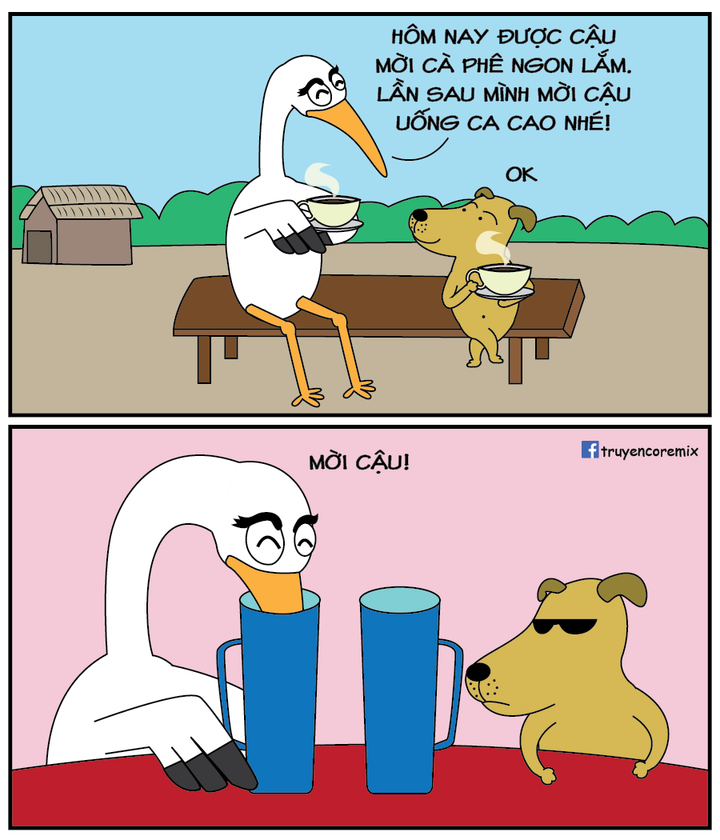 Méo mặt khi được mời uống ca cao - 1