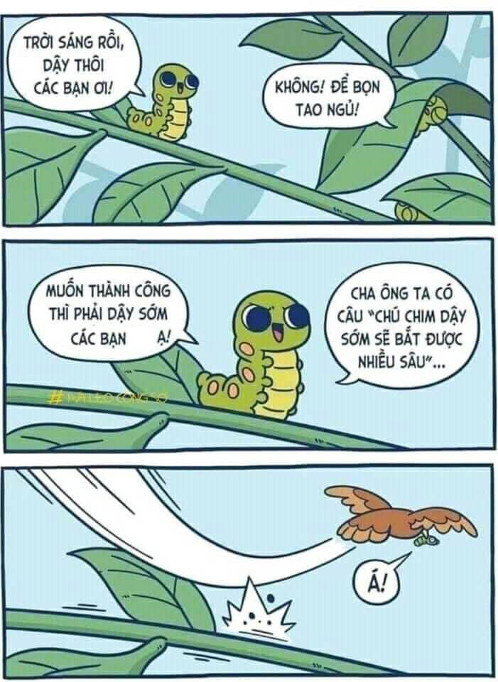 Cái kết đắng của chú sâu thích dạy đời - 1