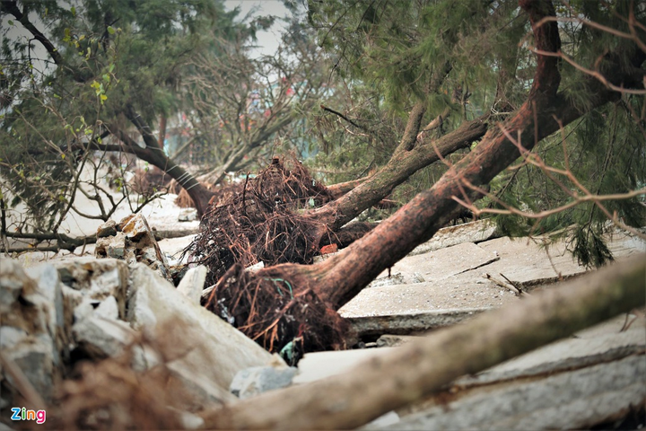 Kè biển Cửa Lò vỡ nát, gãy sụp sau bão số 9 - 10