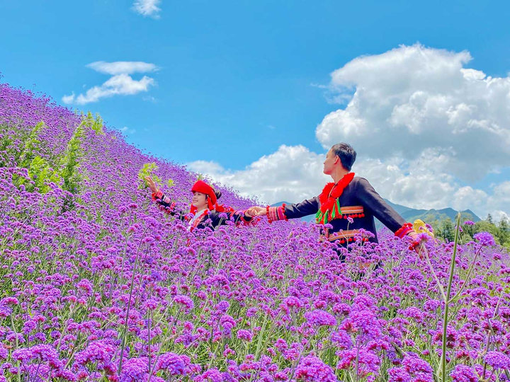 'Điểm đến du lịch hấp dẫn nhất Việt Nam' xướng tên Sun World Fansipan Legend - 4