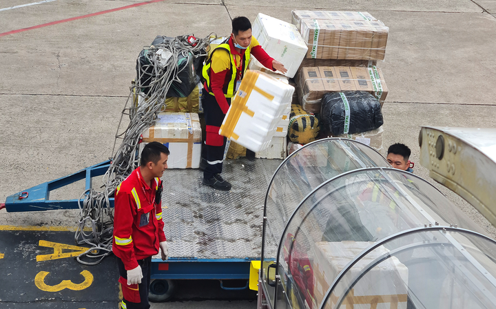 Điều bất ngờ ở một hãng hàng không - 2