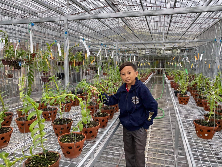 Mạnh Đinh: Chàng trai đam mê hoa lan, tận hưởng đời sống thôn dã - 2