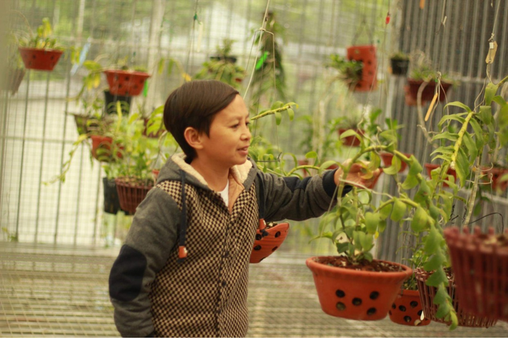 Mạnh Đinh: Chàng trai đam mê hoa lan, tận hưởng đời sống thôn dã - 1