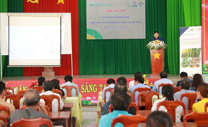 Trao tặng gói hỗ trợ ngô giống chất lượng cao cho bà con Đông Nam Bộ - 1