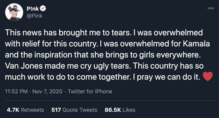 Joe Biden thắng cử Tổng thống Mỹ, sao Hollywood khóc mừng - 7