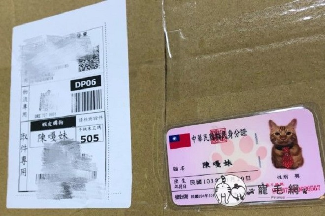 Dân mạng mê tít chú mèo đeo 'thẻ căn cước' tự ra cửa hàng mua đồ - 3