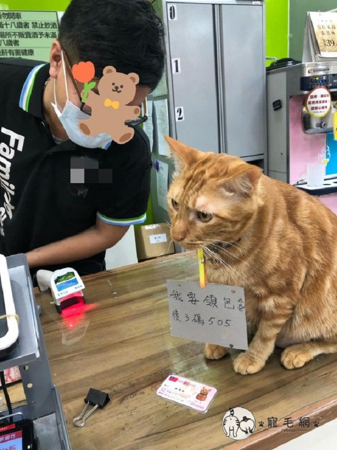 Dân mạng mê tít chú mèo đeo 'thẻ căn cước' tự ra cửa hàng mua đồ - 4